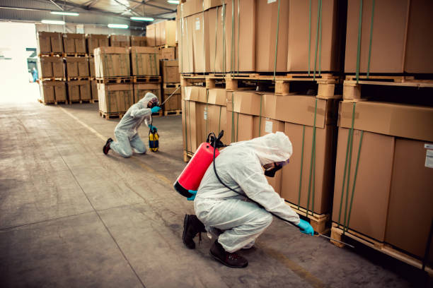 Best Pest Inspection Near Me  in Smiths Station, AL