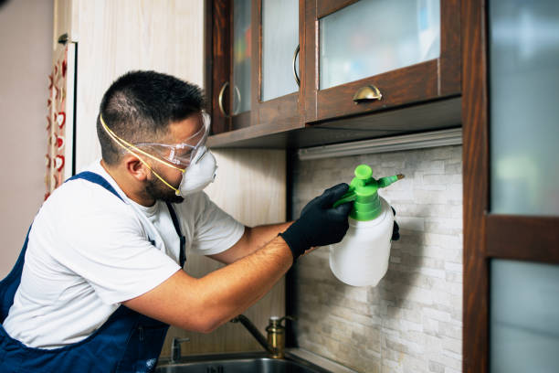 Best Termite Control Services  in Smiths Station, AL