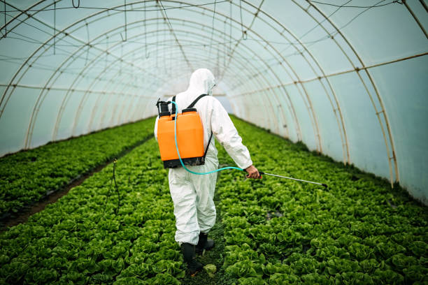 Trusted Smiths Station, AL Pest Control Experts